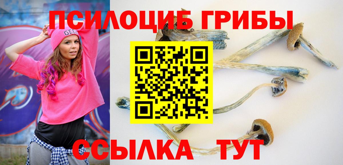 Балашиха  Галлюциногенные грибы Psilocybine cubensis  Вход с VPN  Галлюциногенные грибы MAGIC MUSHROOMS 